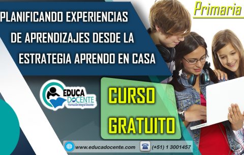 CURSOS primaria (2)